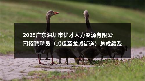 2025广东深圳市优才人力资源有限公司招聘聘员（派遣至龙城街道）总成绩及体检公告 图片