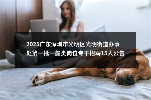 2025广东深圳市光明区光明街道办事处第一批一般类岗位专干招聘15人公告 图片