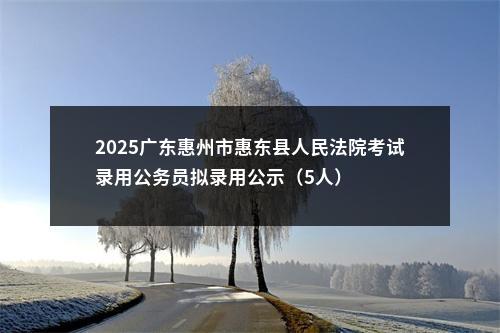 2025广东惠州市惠东县人民法院考试录用公务员拟录用公示（5人） 图片