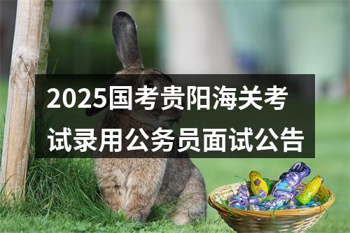2025国考贵阳海关考试录用公务员面试公告 图片