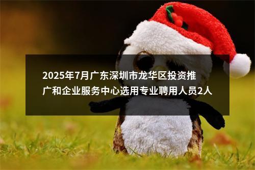 2025年7月广东深圳市龙华区投资推广和企业服务中心选用专业聘用人员2人公告 图片
