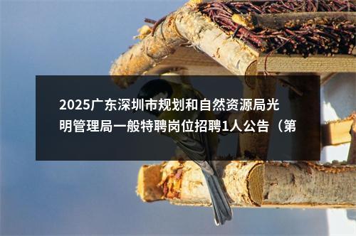 2025广东深圳市规划和自然资源局光明管理局一般特聘岗位招聘1人公告（第三批） 图片
