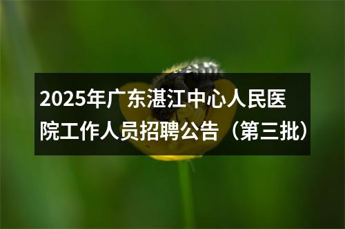2025年广东湛江中心人民医院工作人员招聘公告（第三批） 图片