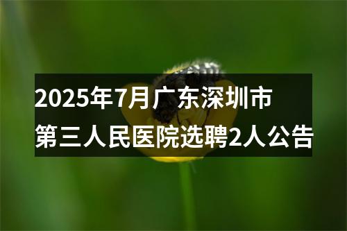 2025年7月广东深圳市第三人民医院选聘2人公告 图片