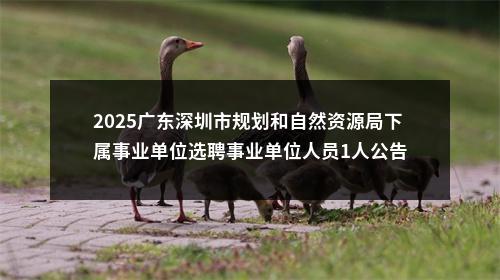 2025广东深圳市规划和自然资源局下属事业单位选聘事业单位人员1人公告 图片