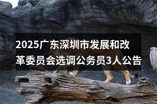 2025广东深圳市发展和改革委员会选调公务员3人公告 图片