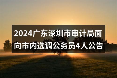 2024广东深圳市审计局面向市内选调公务员4人公告 图片