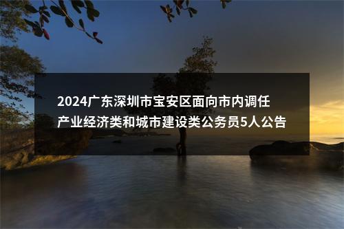 2024广东深圳市宝安区面向市内调任产业经济类和城市建设类公务员5人公告 图片