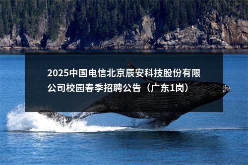 2025中国电信北京辰安科技股份有限公司校园春季招聘公告（广东1岗） 图片