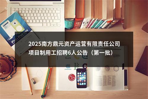 2025南方鼎元资产运营有限责任公司项目制用工招聘6人公告（第一批） 图片