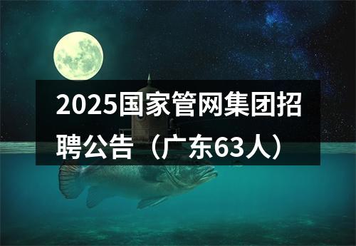 2025国家管网集团招聘公告（广东63人） 图片