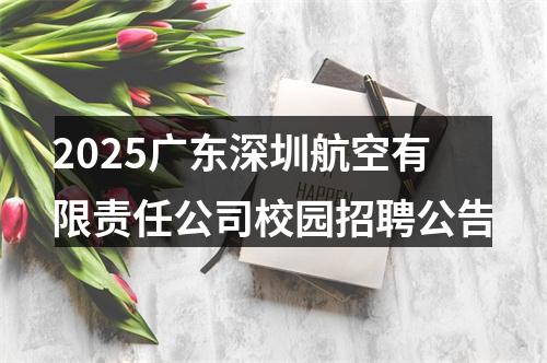 2025广东深圳航空有限责任公司校园招聘公告 图片
