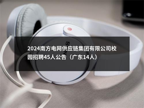 2024南方电网供应链集团有限公司校园招聘45人公告（广东14人） 图片