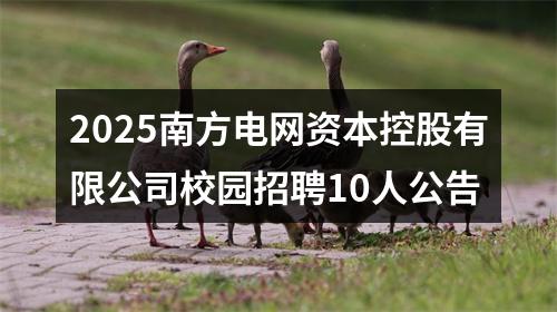 2025南方电网资本控股有限公司校园招聘10人公告 图片