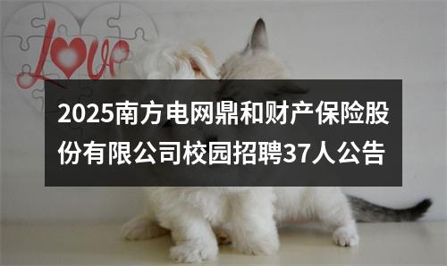 2025南方电网鼎和财产保险股份有限公司校园招聘37人公告 图片
