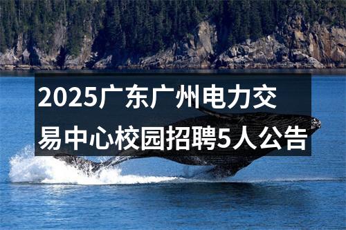 2025广东广州电力交易中心校园招聘5人公告 图片