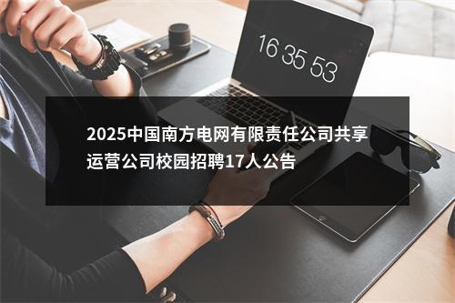 2025中国南方电网有限责任公司共享运营公司校园招聘17人公告 图片