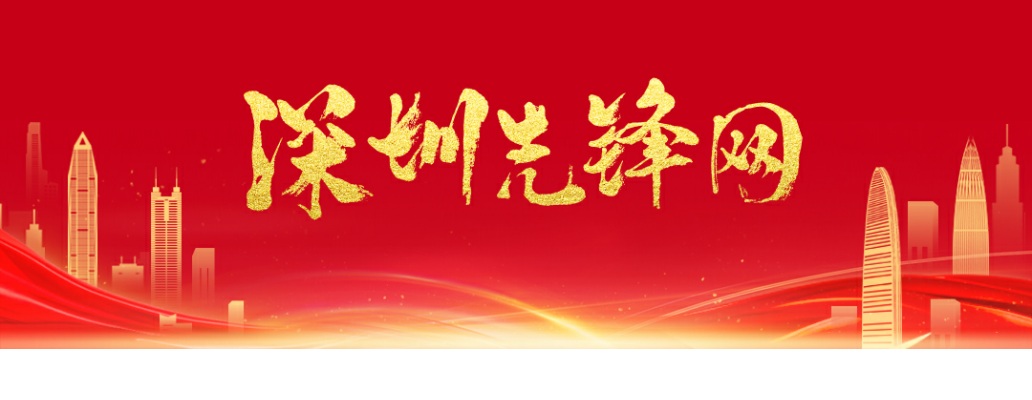 2025广东深圳市区级纪委监委面向市内选调公务员17人公告 图片