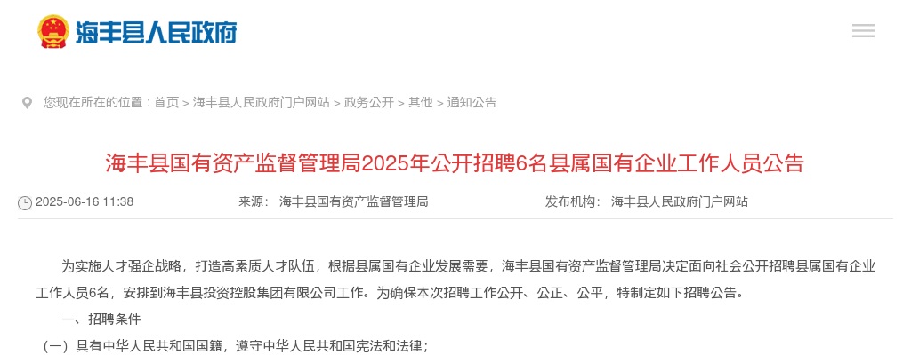 2025广东汕尾市海丰县国有资产监督管理局招聘县属国有企业工作人员6人公告 图片